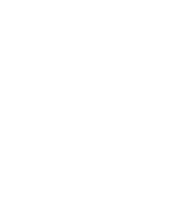 Logo-nicolasraguin1-blanc